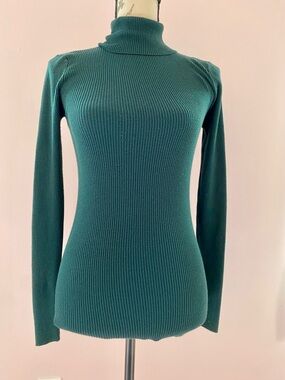 Express Ribbed Turtleneck Sweater - Size Small